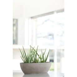 Ecopots Pflanzschale Sofia Lang Braungrau 56 Cm X 14 Cm X 16 Cm -Gartenpflege Geschäft 012100 SofiaLong56Taupe 90