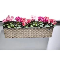 Gartenfreude Balkonkasten 80 Cm X 19 Cm Naturfarben Mit Bewässerungssystem -Gartenpflege Geschäft 159811 4655 6