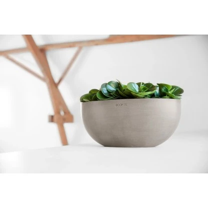 Ecopots Pflanzschale Sofia Big Braungrau 43 Cm X 250 Cm X 17,5 Cm 4 Ecopots Pflanzschale Sofia Big Braungrau 43 Cm X 250 Cm X 17,5 Cm – Bild 2