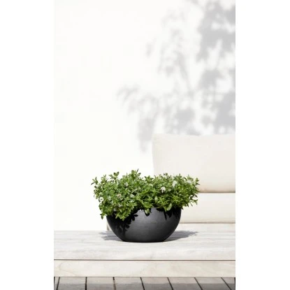 Ecopots Pflanztopf Brussels Dunkelgrau 30 Cm X 14 Cm 5 Ecopots Pflanztopf Brussels Dunkelgrau 30 Cm X 14 Cm – Bild 3