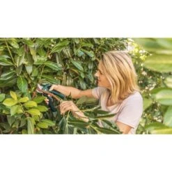 Bosch Akku-Gartenschere EasyPrune -Gartenpflege Geschäft 2610319 3058 06