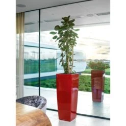 Lechuza Pflanzgefäß Cubico Alto Premium 40 Cm X 40 Cm Scarlet Rot Hochglanz -Gartenpflege Geschäft 261682 4186 3