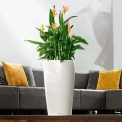 Lechuza Pflanzgefäß Rondo Premium Ø 40 Cm X 75 Cm Weiß Hochglanz -Gartenpflege Geschäft 262013 4186 3