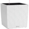 Lechuza Pflanzgefäß Cube Cottage 30 Cm X 30 Cm X 30 Cm Weiß -Gartenpflege Geschäft 262062 4186 1