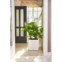 Lechuza Pflanzgefäß Cube Cottage 30 Cm X 30 Cm X 30 Cm Weiß -Gartenpflege Geschäft 262062 4186 3