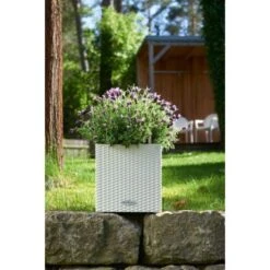 Lechuza Pflanzgefäß Cube Cottage 30 Cm X 30 Cm X 30 Cm Weiß -Gartenpflege Geschäft 262062 4186 4
