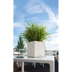 Lechuza Pflanzgefäß Cube Cottage 30 Cm X 30 Cm X 30 Cm Weiß -Gartenpflege Geschäft 262062 4186 5