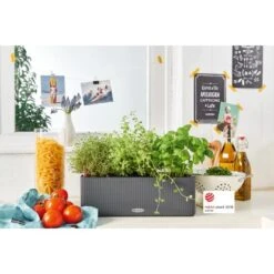 Lechuza Pflanzgefäß Cube Color Triple 40 Cm X 14 Cm X 14 Cm Schiefergrau -Gartenpflege Geschäft 262642 4186 4