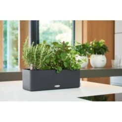 Lechuza Pflanzgefäß Cube Color Triple 40 Cm X 14 Cm X 14 Cm Schiefergrau -Gartenpflege Geschäft 262642 4186 5