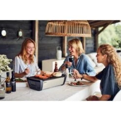 Enders®Holzkohle-Tischgrill Aurora Taupe Raucharm -Gartenpflege Geschäft 284190 3795 3 1