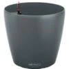 Lechuza Pflanzgefäß Classico Eco Ø 35 Cm Grau -Gartenpflege Geschäft 4008789189332 4186 S 01