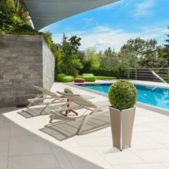 Amare Blumentopf Pur Fiberglas Design 28 Cm X 28 Cm X 61 Cm Beige 19 Amare Blumentopf Pur Fiberglas Design 28 Cm X 28 Cm X 61 Cm Beige -Gartenpflege Geschäft 4251083908233 4655 9