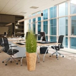 Gartenfreude Blumentopf Wasserhyazinthe 28 X 28 X 60 Cm Natur Kunststoffeinsatz -Gartenpflege Geschäft 4251083910410 4655 5