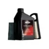 Wartungskit Briggs & Stratton -Gartenpflege Geschäft 5515580 1159 1