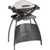 Weber Stand-Gasgrill Q1000 Mit 1 Brenner 2 Weber Stand-Gasgrill Q1000 Mit 1 Brenner -Gartenpflege Geschäft 598007 3994 96