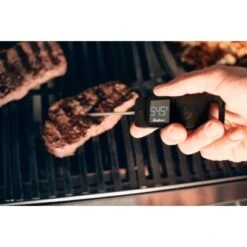 Enders Premium Einstechthermometer 10 Enders Premium Einstechthermometer -Gartenpflege Geschäft 701738 3795 4