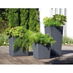 Siena Garden Pflanzgefäß Modern Nizza Graphit 35x35x68,0 Cm 13 Siena Garden Pflanzgefäß Modern Nizza Graphit 35x35x68,0 Cm -Gartenpflege Geschäft 8630808 1346 5
