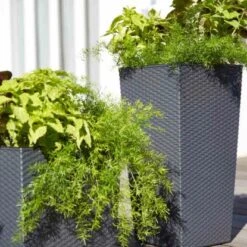 Siena Garden Pflanzgefäß Modern Nizza Graphit 35x35x68,0 Cm 15 Siena Garden Pflanzgefäß Modern Nizza Graphit 35x35x68,0 Cm -Gartenpflege Geschäft 8630808 1346 7