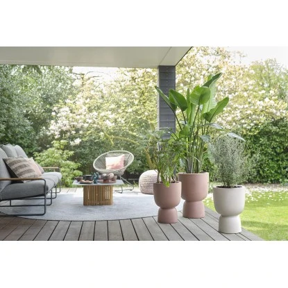 Elho Blumentopf Pure Coupe Ø 34,9 Cm Rosé-Braun 4 Elho Blumentopf Pure Coupe Ø 34,9 Cm Rosé-Braun – Bild 2