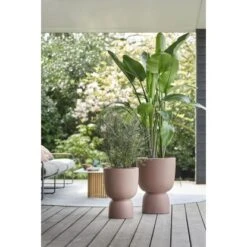 Elho Blumentopf Pure Coupe Ø 34,9 Cm Rosé-Braun 16 Elho Blumentopf Pure Coupe Ø 34,9 Cm Rosé-Braun -Gartenpflege Geschäft 8711904498726 4667 03