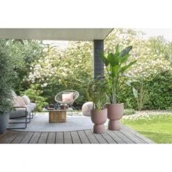 Elho Blumentopf Pure Coupe Ø 34,9 Cm Rosé-Braun 23 Elho Blumentopf Pure Coupe Ø 34,9 Cm Rosé-Braun -Gartenpflege Geschäft 8711904498726 4667 11