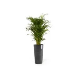Ecopots Pflanztopf Amsterdam Extrahoch Dunkelgrau 50 Cm X 90 Cm -Gartenpflege Geschäft AmsterdamHigh90DarkGrey 01