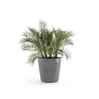 Ecopots Pflanztopf Amsterdam Rollen Grau 100 Cm X 87,5 Cm 4 Ecopots Pflanztopf Amsterdam Rollen Grau 100 Cm X 87,5 Cm – Bild 2