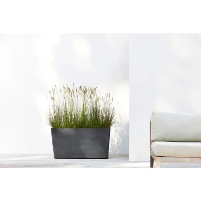 Ecopots Pflanztopf Paris Rollen Dunkelgrau 100 Cm X 40 Cm X 50 Cm 5 Ecopots Pflanztopf Paris Rollen Dunkelgrau 100 Cm X 40 Cm X 50 Cm – Bild 3