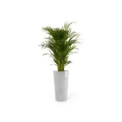 Ecopots Pflanztopf Amsterdam Halbhoch Weißgrau 34 Cm X 66 Cm -Gartenpflege Geschäft erdamMidHigh66WhiteGrey 01
