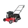 Einhell Benzin-Vertikutierer GC-SC 2240 P Mit 18 Stahlmessern 2,2 KW 2 Einhell Benzin-Vertikutierer GC-SC 2240 P Mit 18 Stahlmessern 2,2 KW -Gartenpflege Geschäft invertikutierergcsc2240p 1