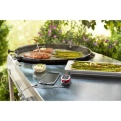 Weber Bluetooth-Thermometer Und Timer IGrill Mini Mit Einem Messfühler -Gartenpflege Geschäft s 7220 iGrillMiniLifestyle